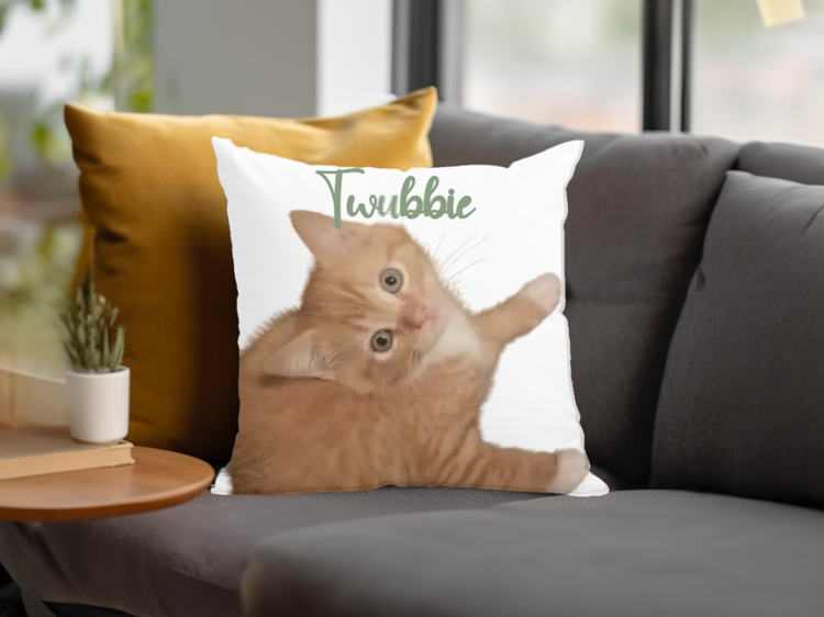 Customizable Pillows