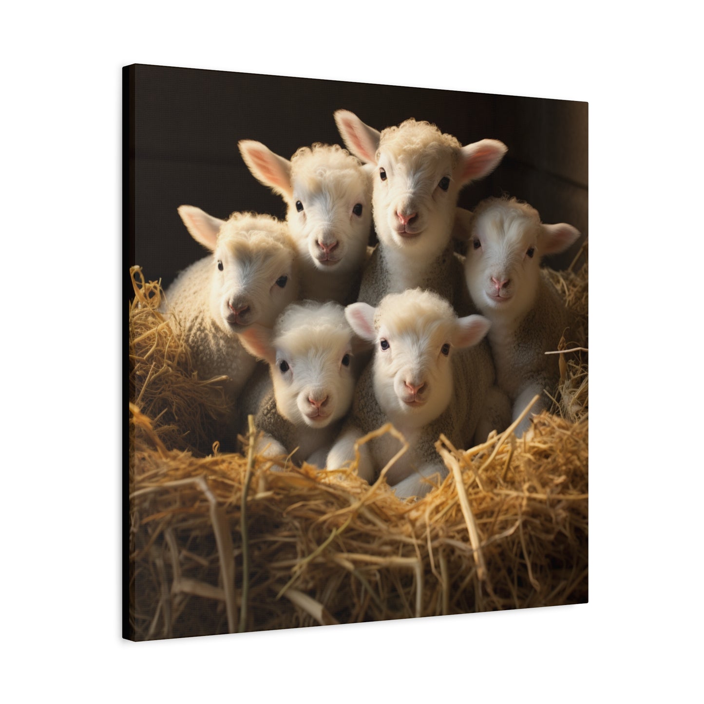 Lamb Family in Straw Wall Canvas