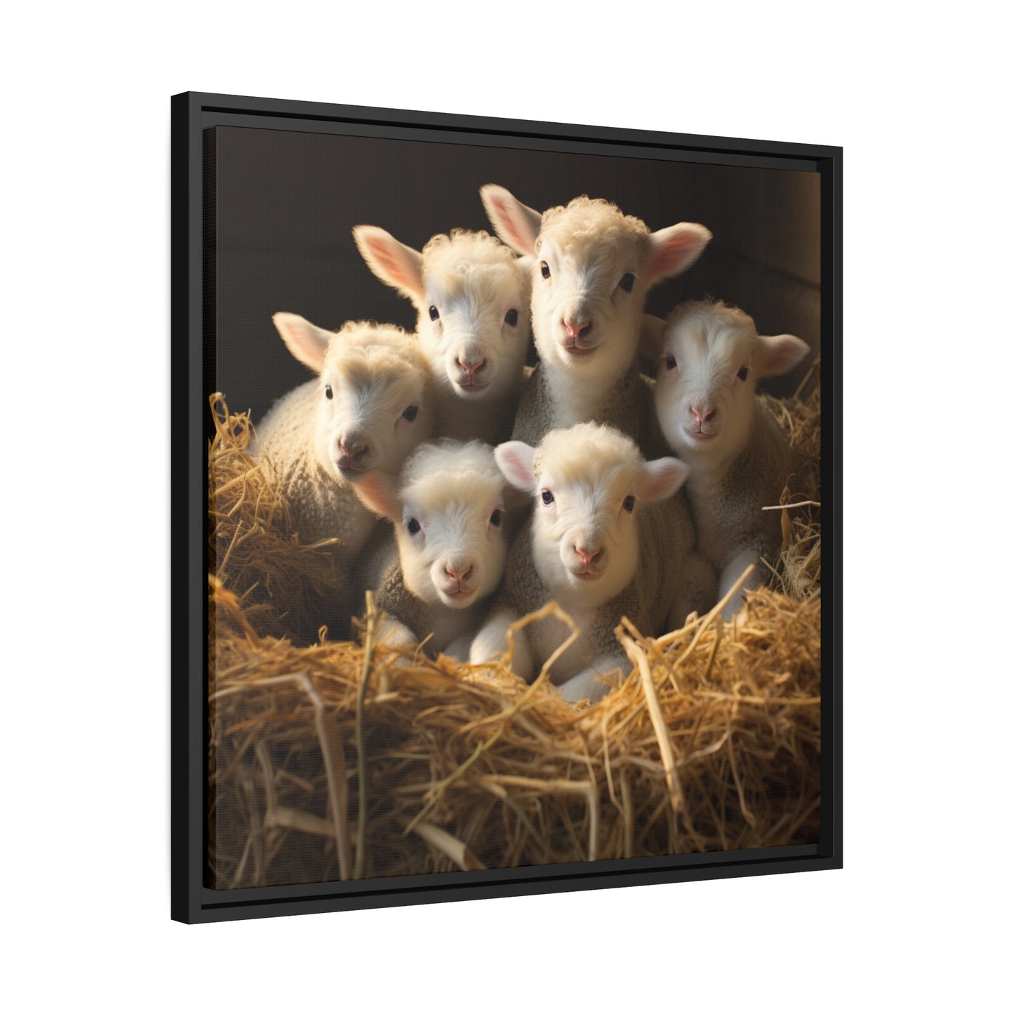 Lamb Family in Straw Framed Wall Canvas