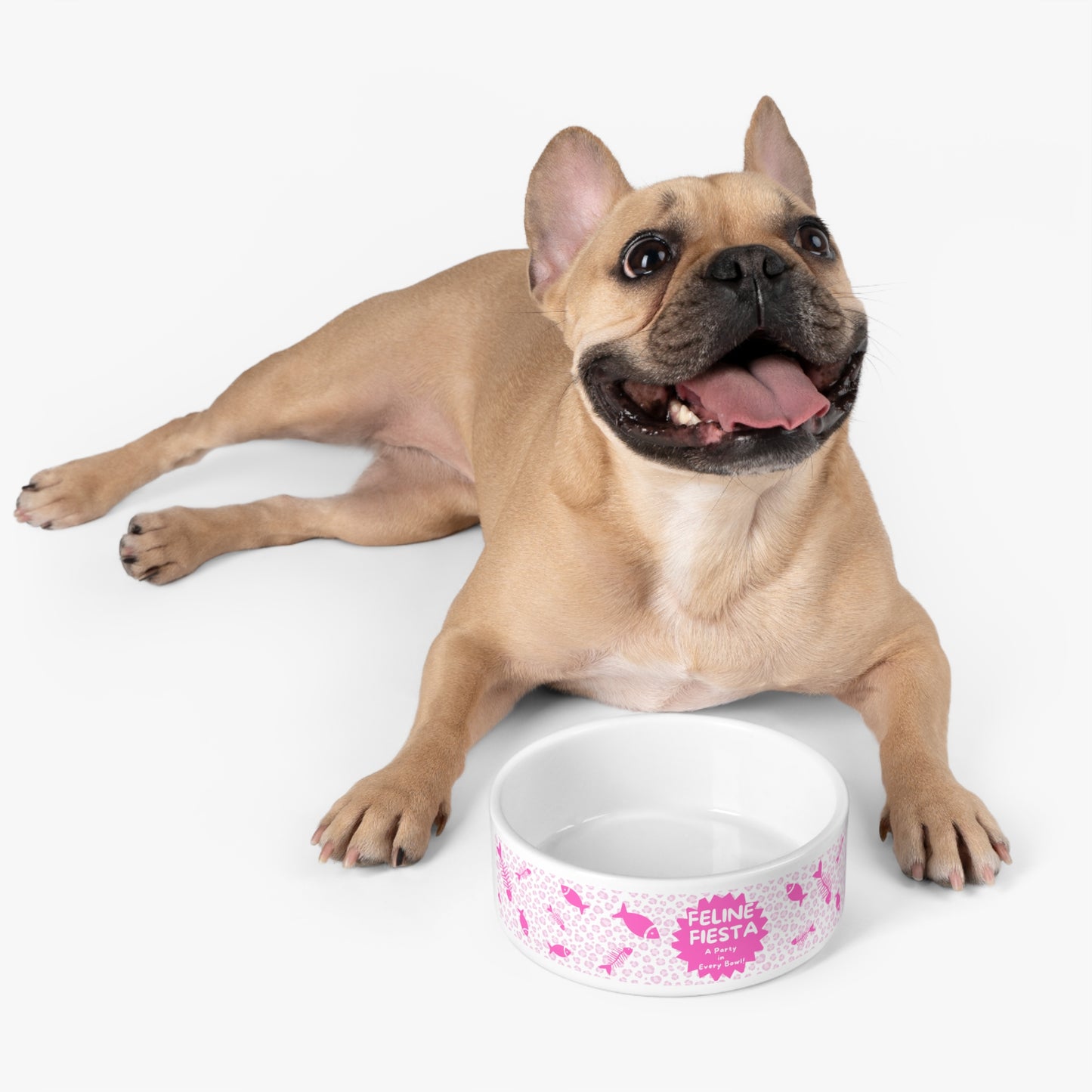 Cat Food Dish 16 oz - Pink