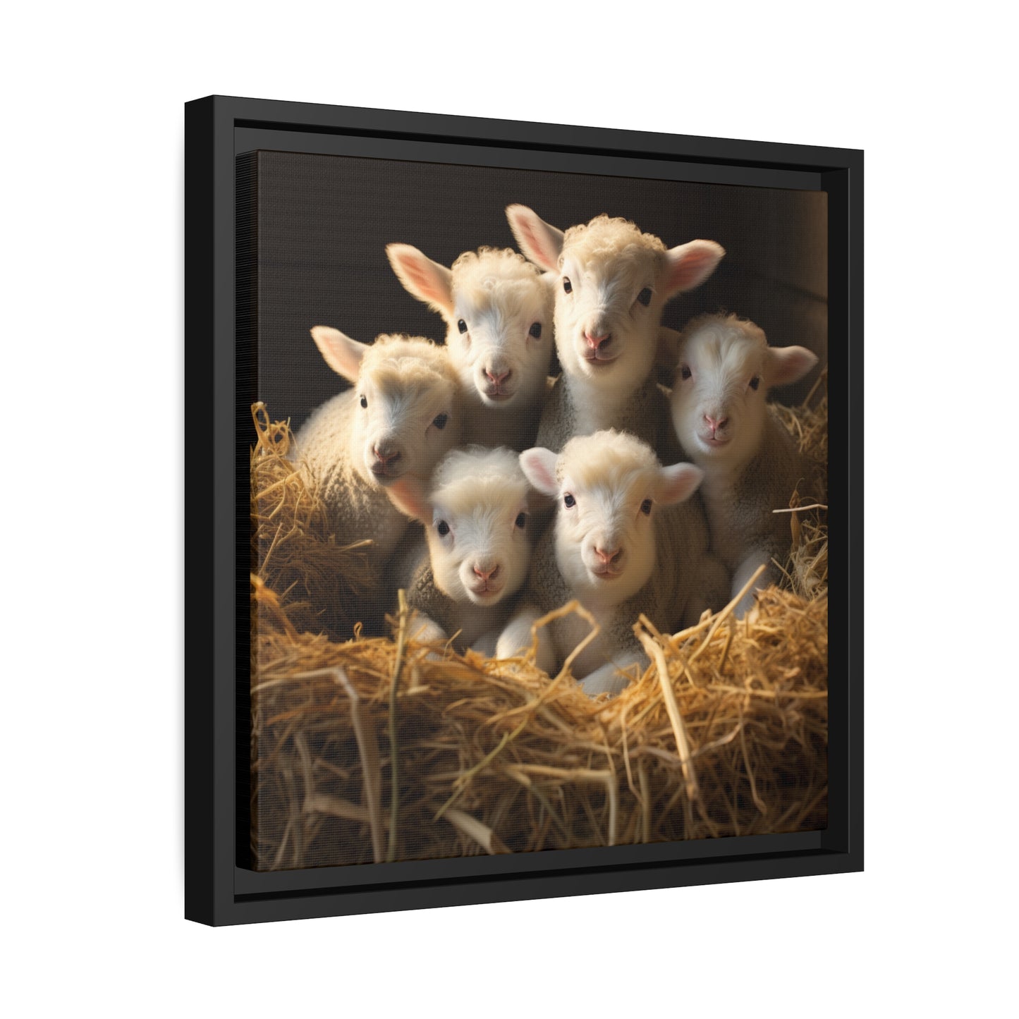 Lamb Family in Straw Framed Wall Canvas