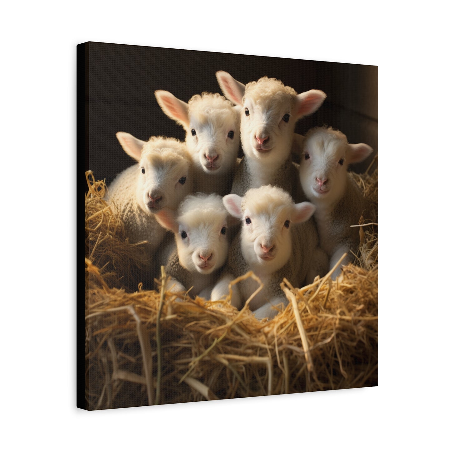 Lamb Family in Straw Wall Canvas