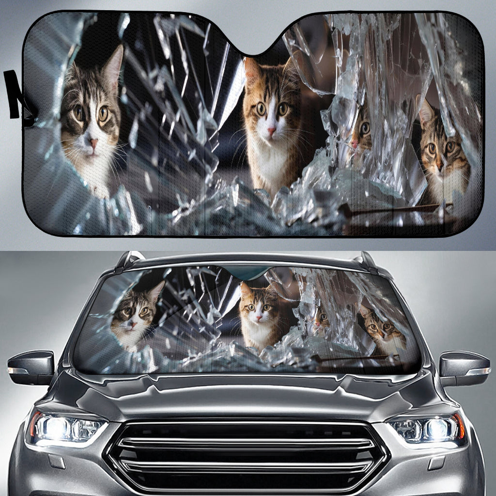 Cat's Gaze Sunshade - 4 Cats