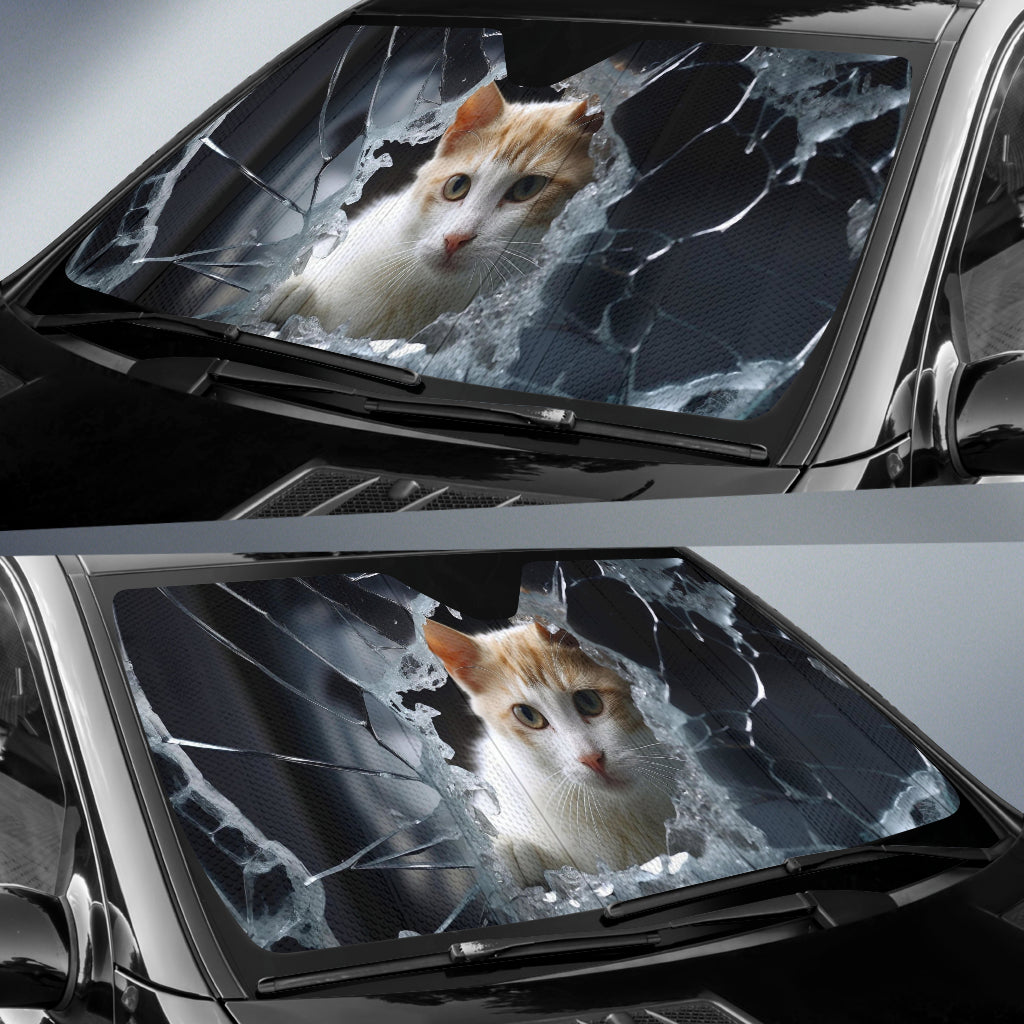 Cat's Gaze Sunshade - Orange Cat